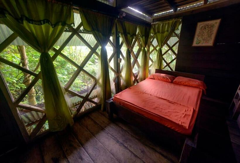 חדר משפחתי, Ayahuasca