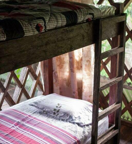 מיטה בחדר משותף, Ayahuasca