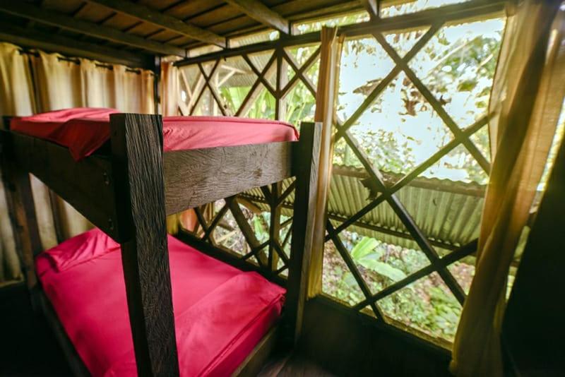 Кровать в Общей Комнате, Ayahuasca