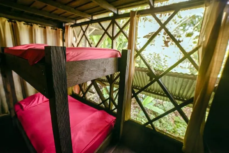 ルームシェアのワンベッド, Ayahuasca