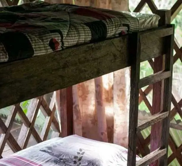 ルームシェアのワンベッド, Ayahuasca