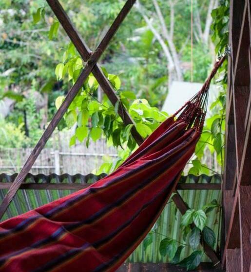 סוויטה נוף לים, Ayahuasca