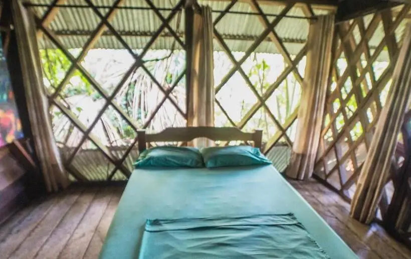 キングサイズベッドのスイートルーム, Ayahuasca