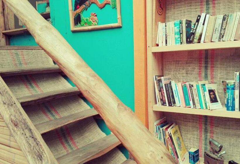 اتاق اکونومی, Hostal Colina De Lluvia