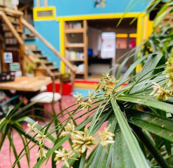 اتاق لوکس, Hostal Colina De Lluvia