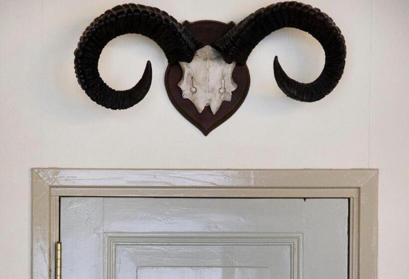 غرفة كومفورت, Stadslogement De Oude Smidse Steenwijk