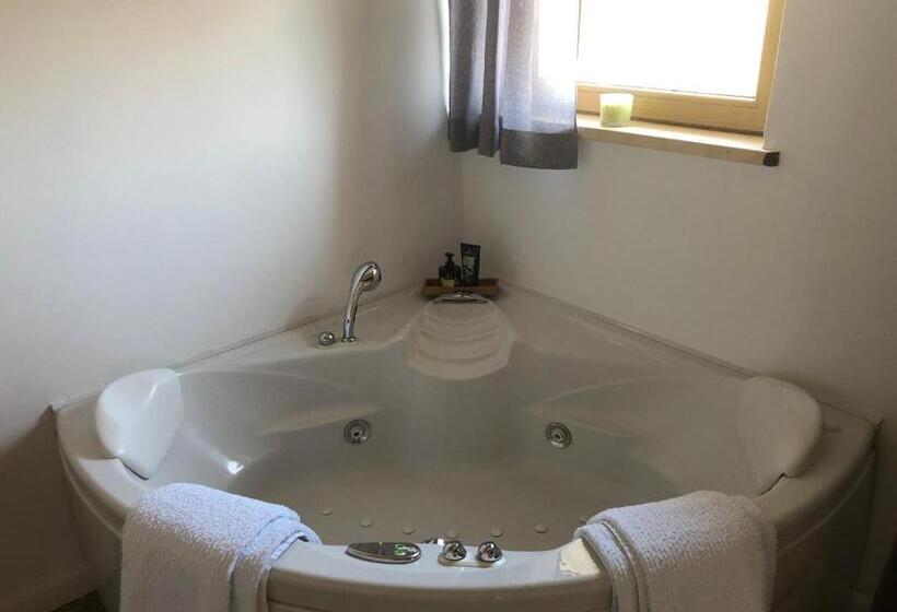 اتاق استاندارد با وان آب گرم, Residence Apolonija Guest House