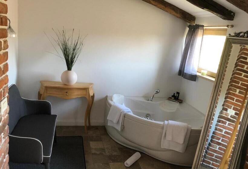 اتاق استاندارد با وان آب گرم, Residence Apolonija Guest House