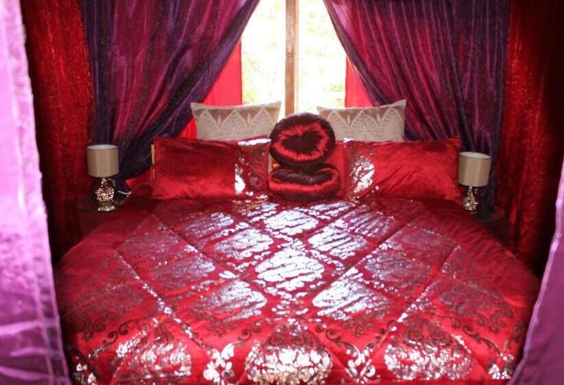 غرفة عائلية, Pyramids Motel