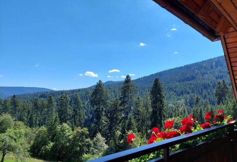 Номер Стандарт с Балконом, Landhaus Waldeshöhe