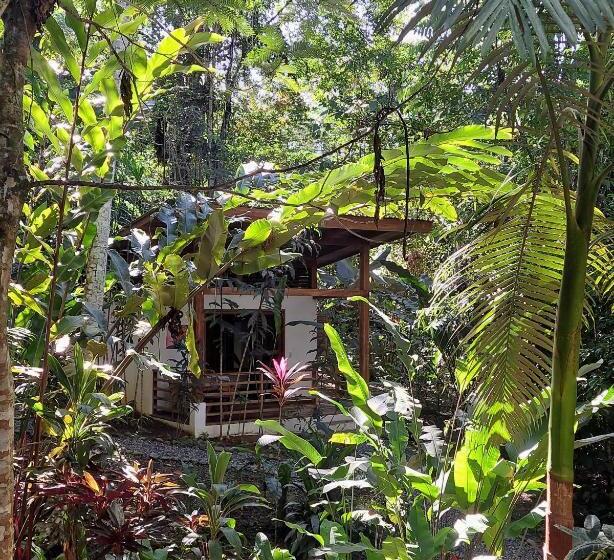 בקתה סטנדרטית, Satta Lodge