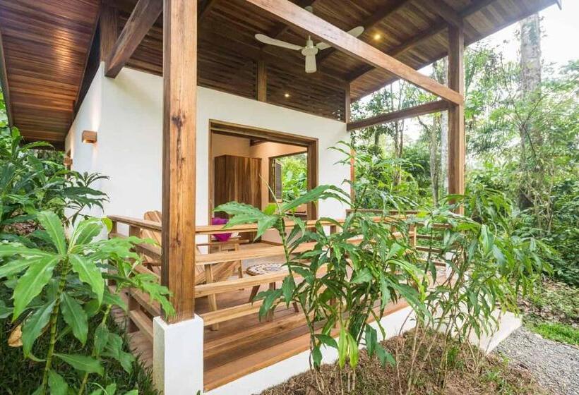 בקתה סטנדרטית, Satta Lodge