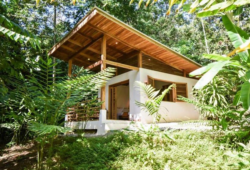 스탠다드 방갈로, Satta Lodge