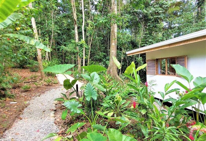 סוויטת ג'וניור, Satta Lodge