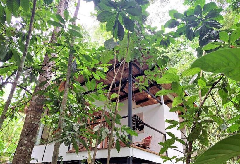 주니어 스위트, Satta Lodge