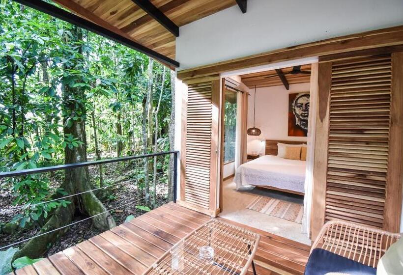 סוויטת ג'וניור, Satta Lodge