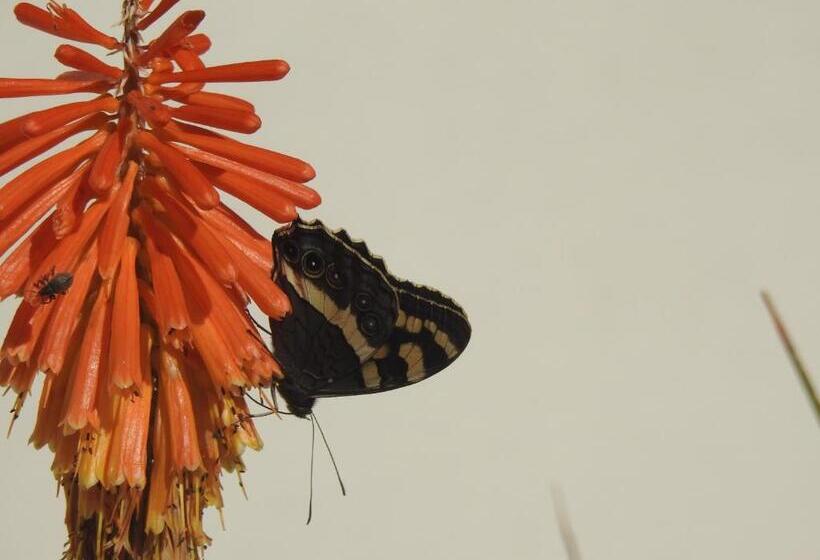 اتاق استاندارد, Motebong Lodge