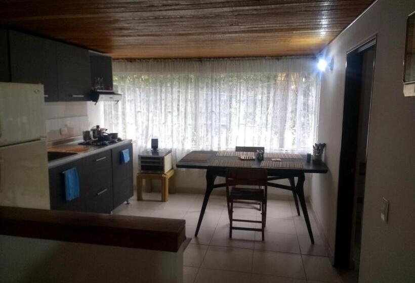 이코노미 룸, Hostal Norma101