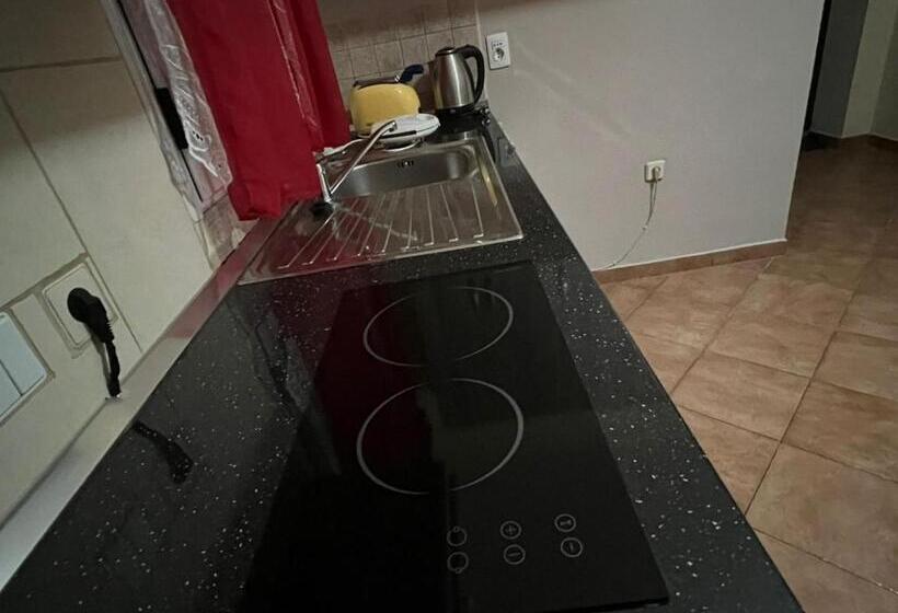 اتاق اکونومی, Anel Suites