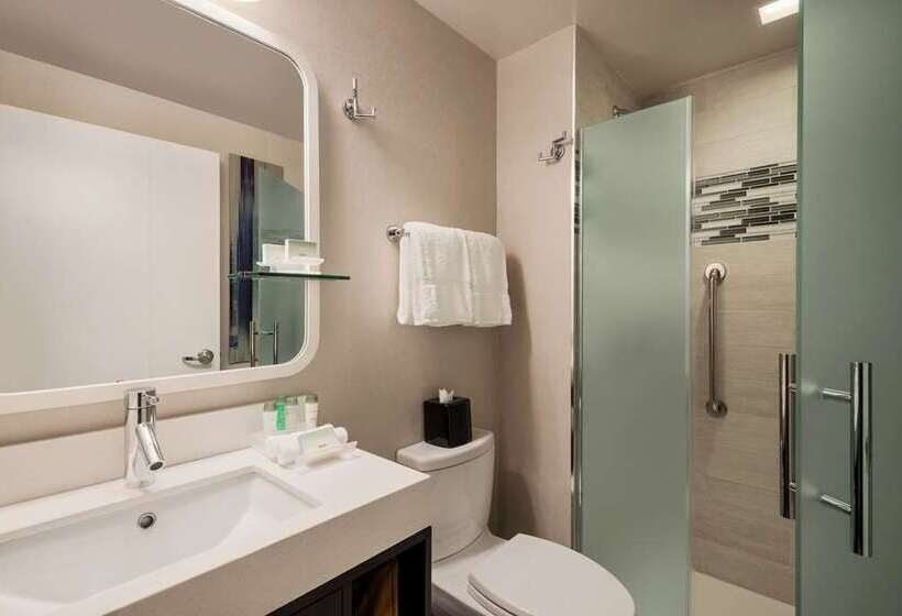 إستوديو قياسى سرير كينج, Home2 Suites By Hilton Tampa Downtown Channel District