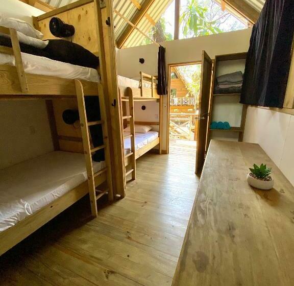 تختخواب در اتاق مشترک, Boatique Hotel And Marina