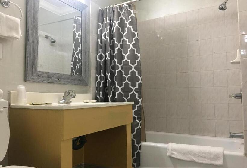 غرفة قياسية سرير كينج, Villa Park Motel