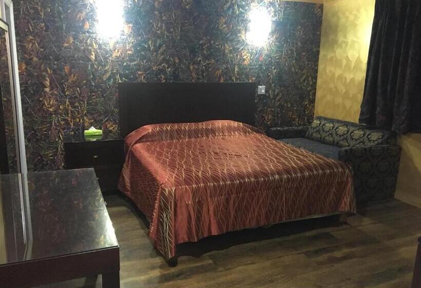 غرفة قياسية سرير كينج, Villa Park Motel
