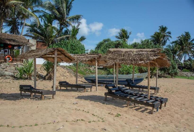 غرفة إقتصادية, Sailors' Bay