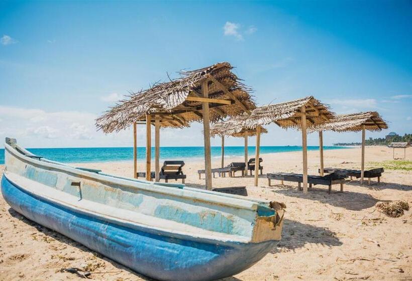 غرفة عائلية مطلّة علي البحر, Sailors' Bay