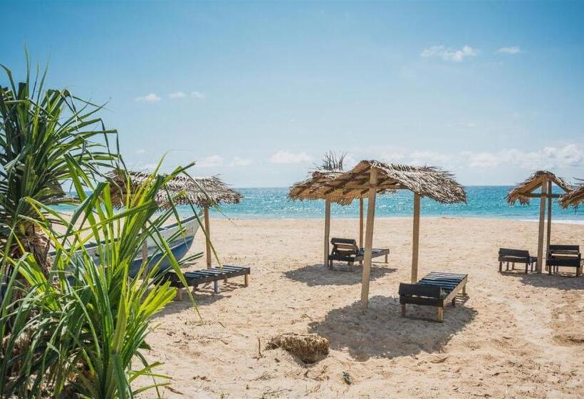 غرفة إقتصادية, Sailors' Bay