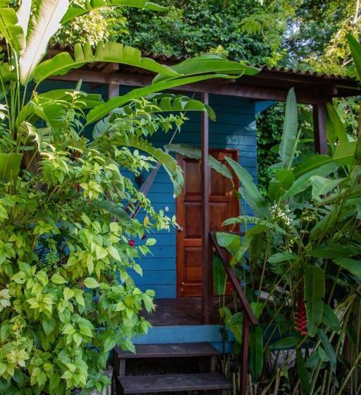 ویلای استاندارد با چشمانداز باغ, Alice Guesthouse