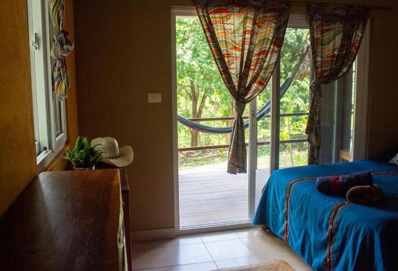 اتاق استاندارد چهار تخته, Alice Guesthouse