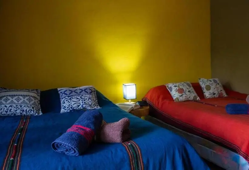 اتاق استاندارد چهار تخته, Alice Guesthouse