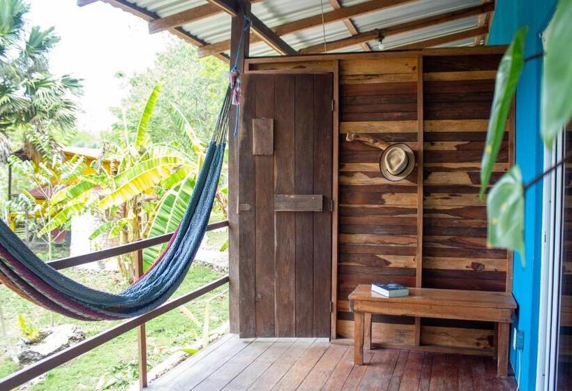 اتاق استاندارد چهار تخته, Alice Guesthouse