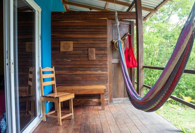 اتاق استاندارد چهار تخته, Alice Guesthouse