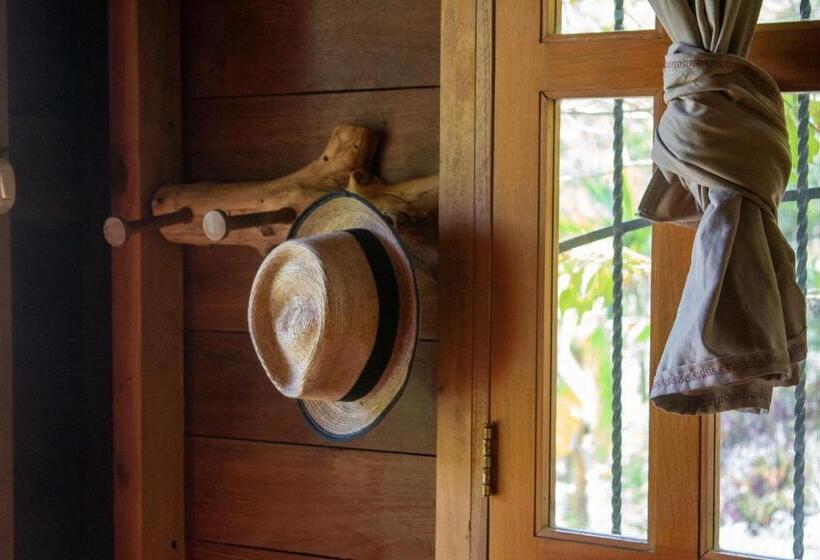 بانگلوی استاندارد, Alice Guesthouse