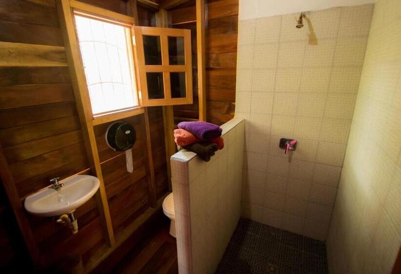 بانگلوی استاندارد, Alice Guesthouse