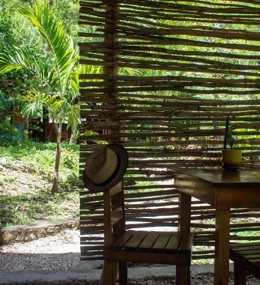 اتاق استاندارد چهارنفره با چشم‌انداز باغ, Alice Guesthouse