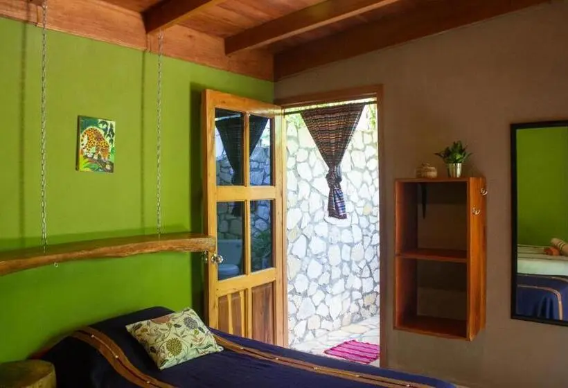 اتاق استاندارد چهارنفره با چشم‌انداز باغ, Alice Guesthouse
