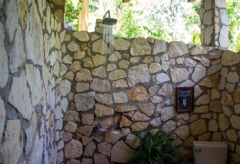 اتاق استاندارد چهارنفره با چشمانداز باغ, Alice Guesthouse