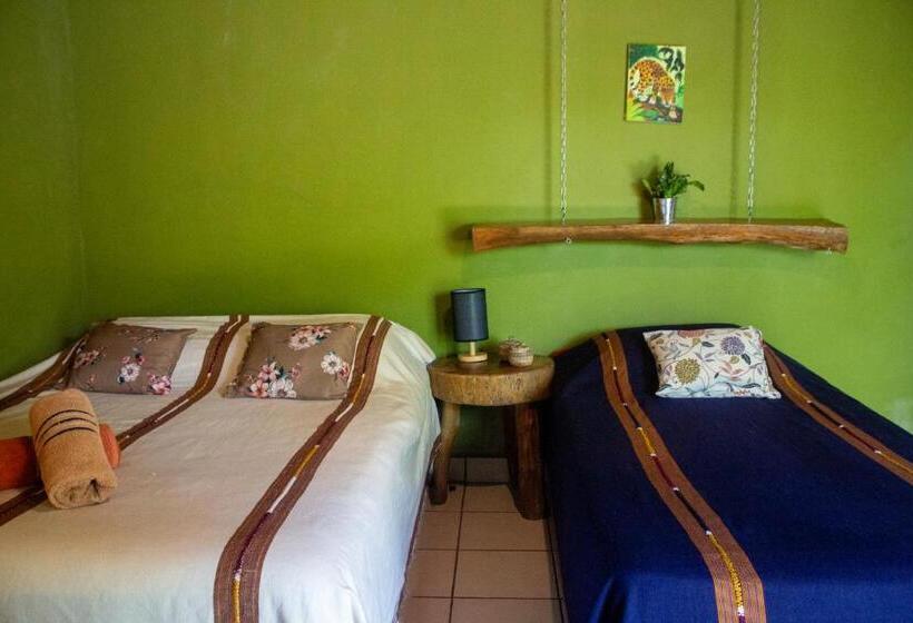اتاق استاندارد چهارنفره با چشم‌انداز باغ, Alice Guesthouse