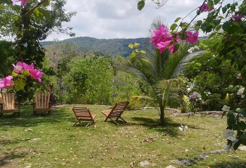 اتاق استاندارد چهارنفره با چشمانداز باغ, Alice Guesthouse