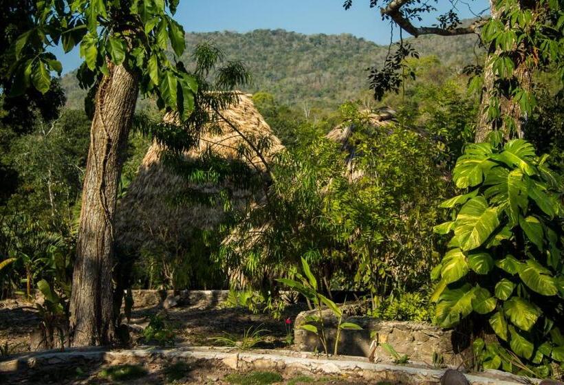 اتاق استاندارد چهارنفره با چشمانداز باغ, Alice Guesthouse