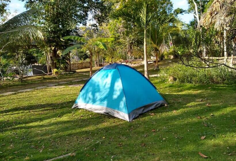 چادر با خدمات رفاهی استاندارد, Alice Guesthouse
