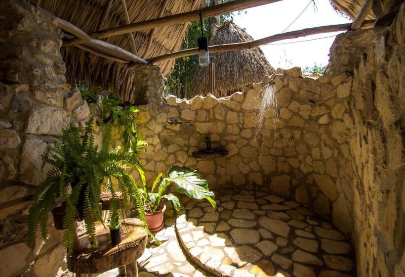 چادر با خدمات رفاهی استاندارد, Alice Guesthouse