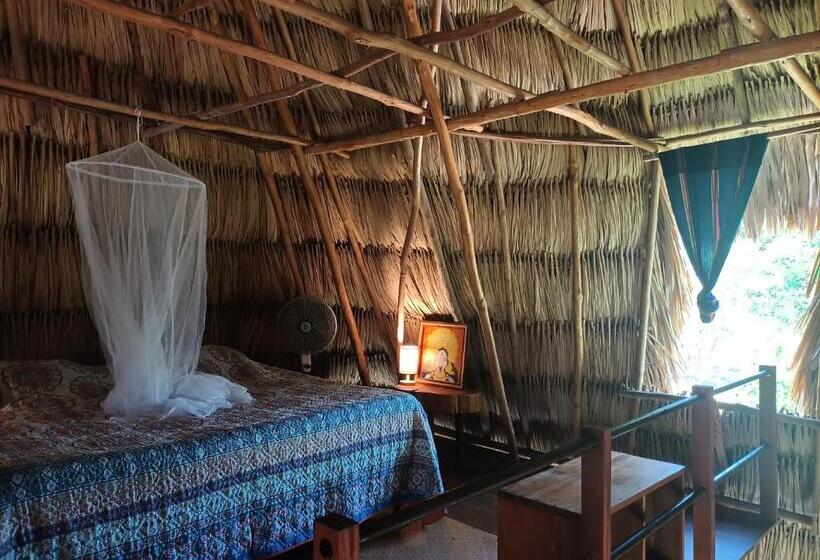 خانه 2 خوابه, Alice Guesthouse