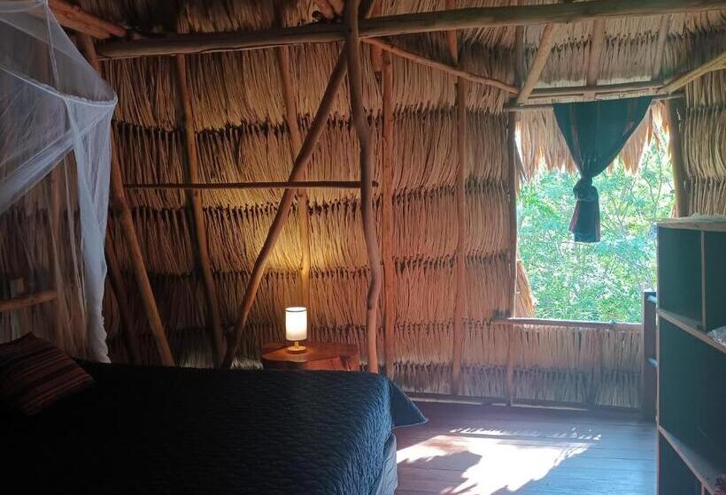 خانه 2 خوابه, Alice Guesthouse