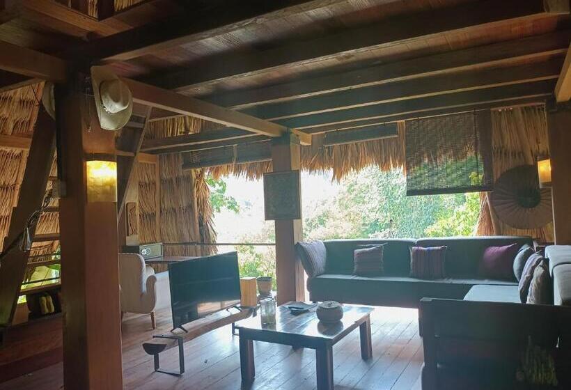 خانه 2 خوابه, Alice Guesthouse