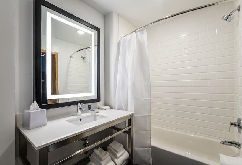 Suite met Uitzicht op de Stad, Four Points By Sheraton Elkhart