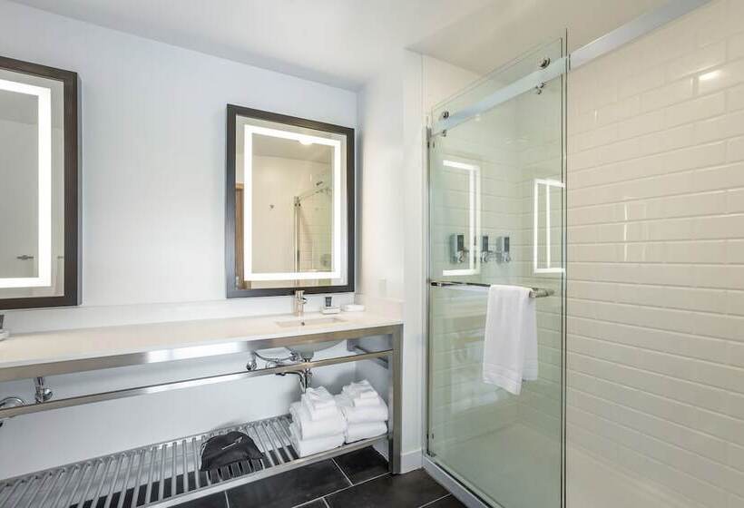 带城市景观的套间, Four Points By Sheraton Elkhart